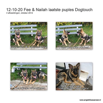 Laatste puppy cursus bij Dogtouch met Feetje en Nailah samen